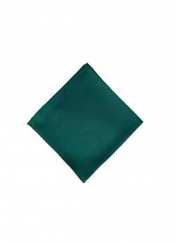 FAZZOLETTO DA TASCHINO VERDE